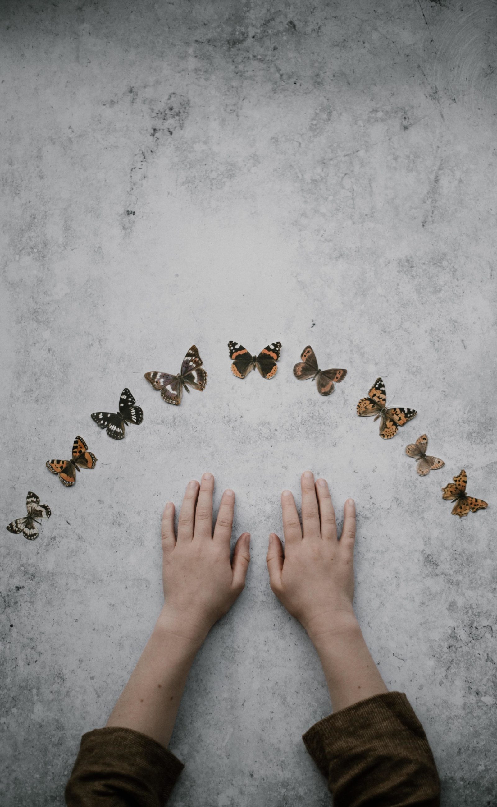 Butterflies around on hands